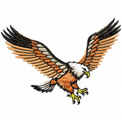 Eagle And Falcon Embroidery Design 7